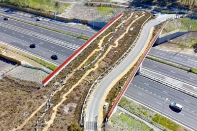 The £3.7million 'green bridge' to help snakes and toads cross busy A-road to heathland
