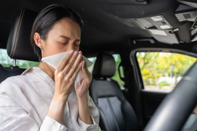 RAC urges drivers to follow '12-18' rule to reduce hay fever symptoms in car