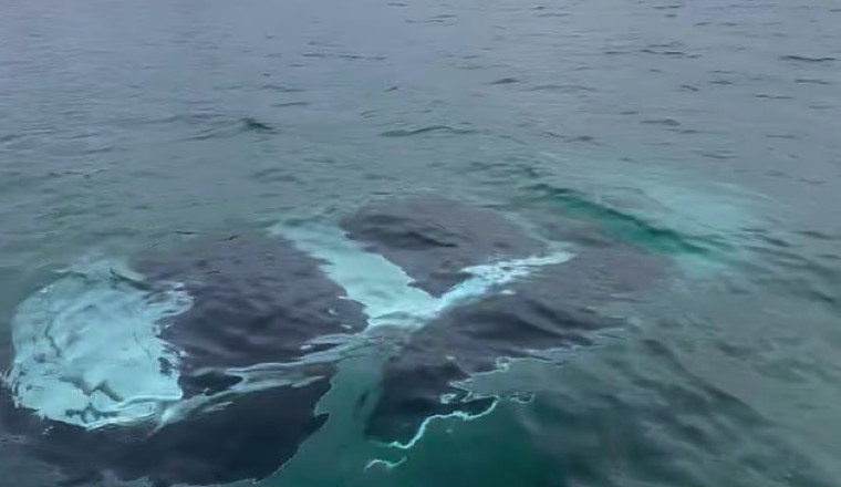An £80,000 Land Rover Discovery Is Now at the Bottom of the Sea in Wales. People Paddleboarded Over It.
