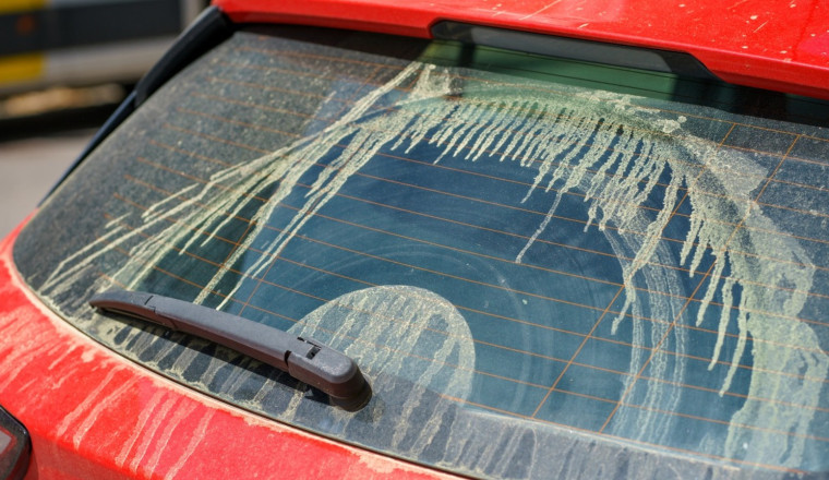 Pollen Isn't Just Bad For Your Allergies, It Can Wreak Havoc On Your Car Too